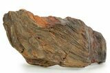Triassic-Age Petrified Wood Log - Madagascar #379277-1